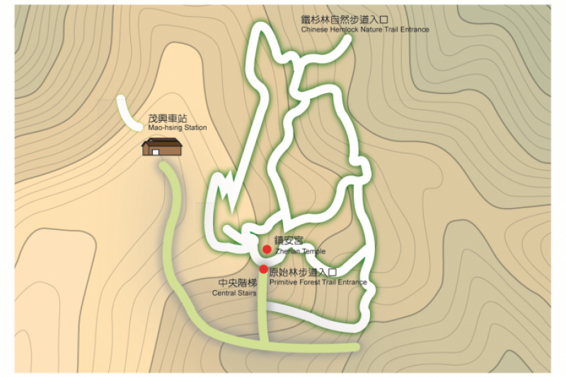 宜蘭太平山景點-檜木原始林步道。（圖／太平山國家森林區官網）