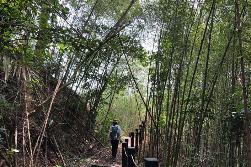 雙崎部落埋伏坪登山步道(圖片來源:Instagram@airers2) 雙崎部落埋伏坪登山步道(圖片來源:Instagram@airers2)