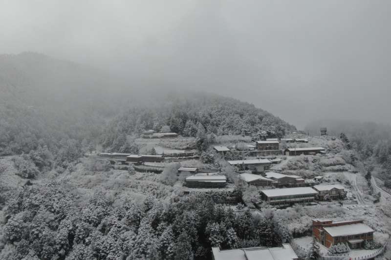 太平山下雪了(圖/取自太平山國家森林遊樂區 粉專) 太平山下雪了(圖/取自太平山國家森林遊樂區 粉專)