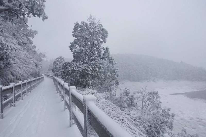 太平山下雪了(圖/取自太平山國家森林遊樂區 粉專) 太平山下雪了(圖/取自太平山國家森林遊樂區 粉專)