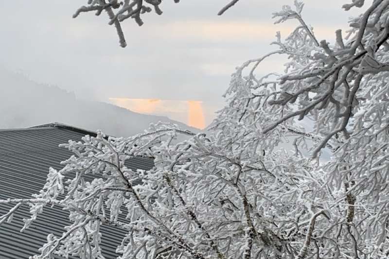 太平山下雪了(圖/取自太平山國家森林遊樂區 粉專) 太平山下雪了(圖/取自太平山國家森林遊樂區 粉專)