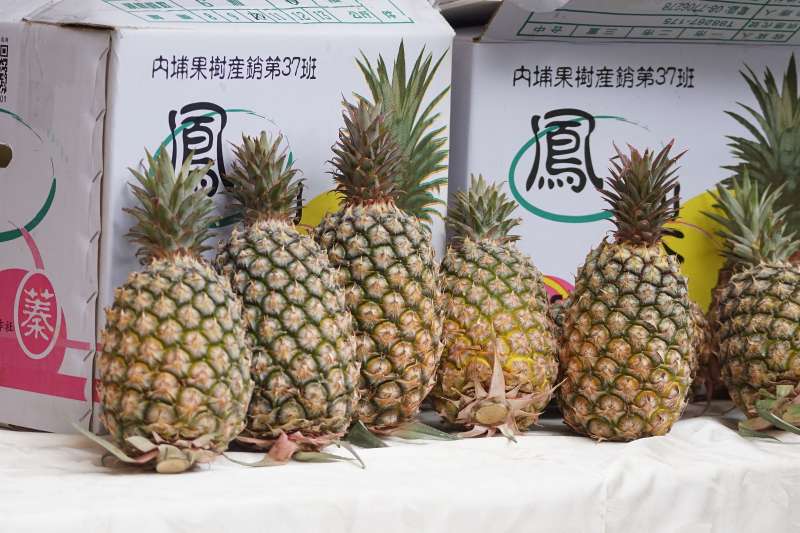 20210302-台灣鳳梨。(盧逸峰攝) 20210302-台灣鳳梨。(盧逸峰攝)