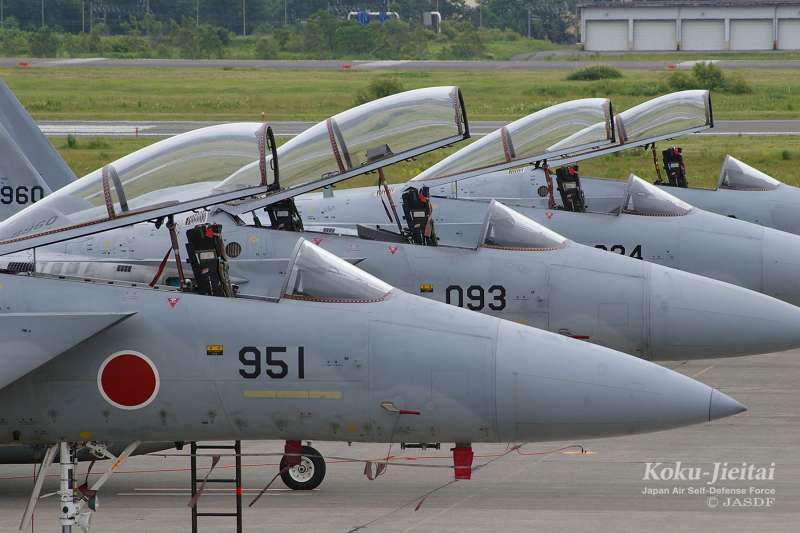 日本航空自衛隊主力機種:F-15J/DJ。(航空自衛隊官網) 日本航空自衛隊主力機種:F-15J/DJ。(航空自衛隊官網)