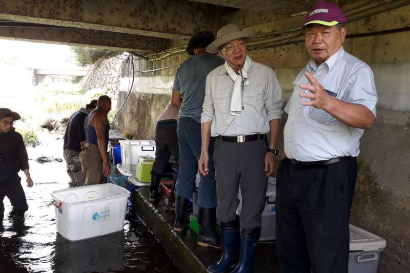 台中市府農業局救援台灣稀有保育類-台灣白魚。（圖/台中市政府）