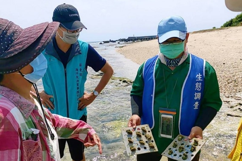 海洋委員會海洋保育署支持下,積極推動小琉球海洋資源復育工作。(圖/屏東縣政府提供)