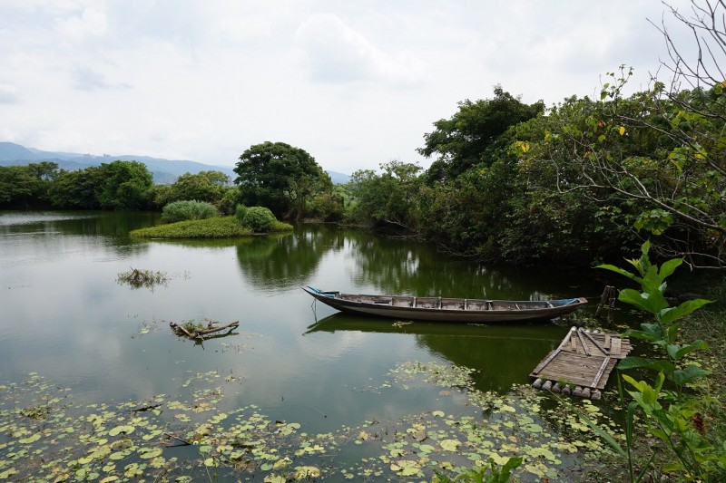 「關渡自然公園」獲評WLI星級濕地中心,成為臺灣第一處摘下星級獎項的濕地場域。(圖/臺北市政府提供)