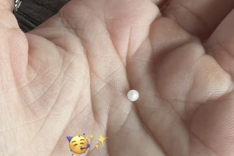 房思瑜近距離拍攝珍珠。(圖/翻攝自Instagram/serenahouse) 房思瑜近距離拍攝珍珠。(圖/翻攝自Instagram/serenahouse)