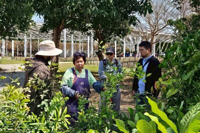 台中市政府建設局攜手國立自然科學博物館植物園合作，推動原生植物培育計畫。(圖/台中市政府)
