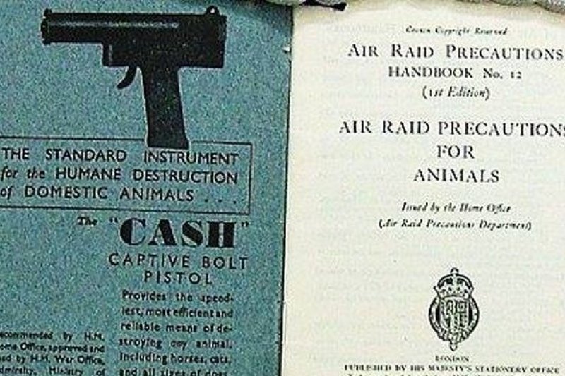 1940年9月,德軍開始空襲倫敦,引發新一波的寵物安樂死熱潮(取自網路)