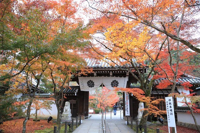 永觀堂可說是京都賞楓之王，寺內岩垣楓葉等約3千株楓樹及銀杏遍布寺院、錯落山腹中。（圖片來源：Flickr CC授權作者Norio NAKAYAMA）