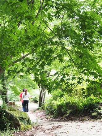無論什麼時節走入庭園,都能體驗一場精緻的繽紛盛宴。(圖/劉宸嘉攝) 無論什麼時節走入庭園,都能體驗一場精緻的繽紛盛宴。(圖/劉宸嘉攝)