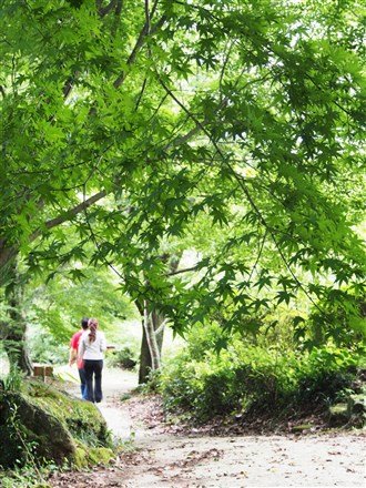 無論什麼時節走入庭園，都能體驗一場精緻的繽紛盛宴。（圖／劉宸嘉攝）