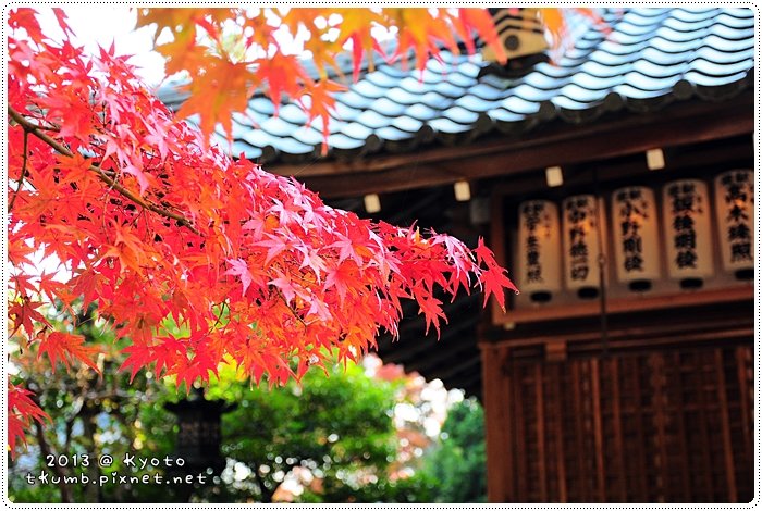 redleaf9.jpg redleaf9.jpg