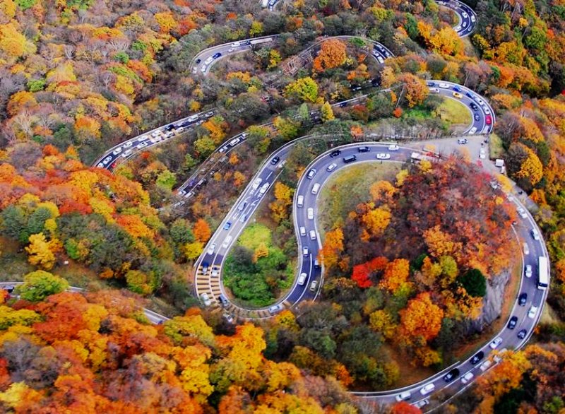 日光伊呂波山道紅葉繽紛多彩。(圖/樂天旅遊) 日光伊呂波山道紅葉繽紛多彩。(圖/樂天旅遊)