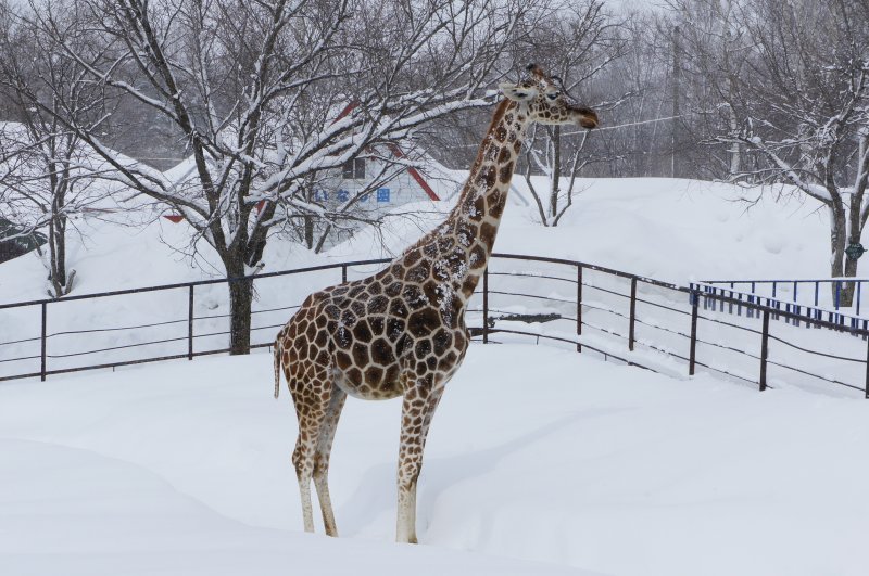 zoo4.jpg zoo4.jpg