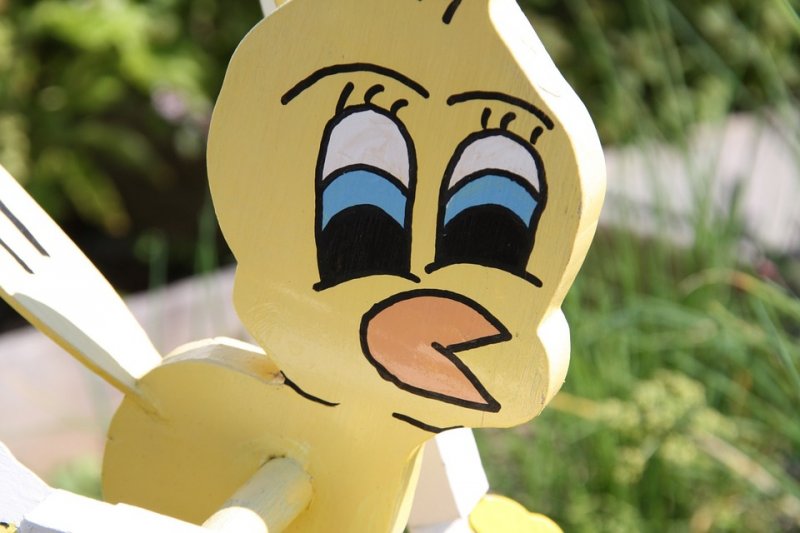 全世界最有名的カナリア就是卡通人物Tweety。(圖/pixabay) 全世界最有名的カナリア就是卡通人物Tweety。(圖/pixabay)