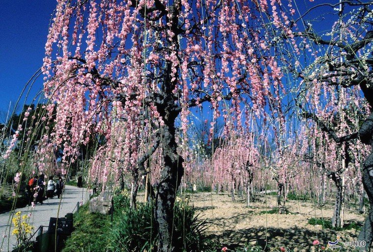 名古屋.jpg 名古屋.jpg