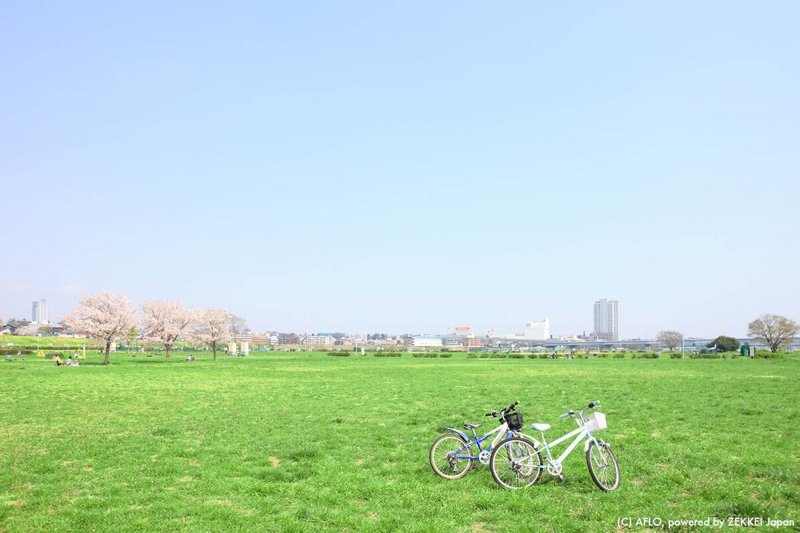 川 川