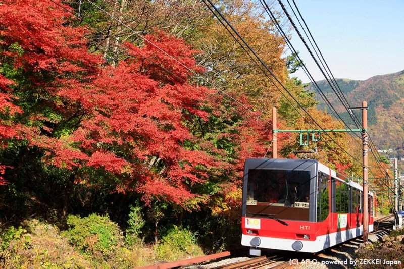 箱根登山電車 箱根登山電車