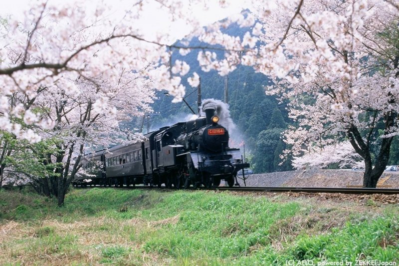 大井川鐵道 大井川鐵道