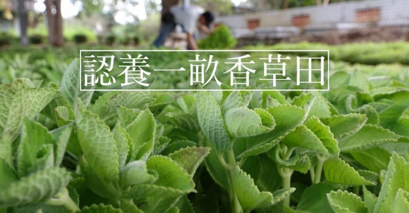 (圖/Vstory提供) (圖/Vstory提供)