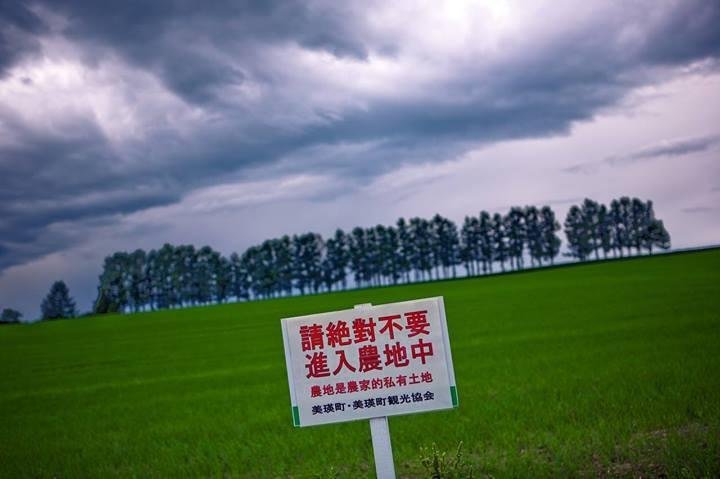 當地農民直接在NHK電視台前往採訪時表示,確實是針對台灣民眾。圖/Wise Lee@facebook 當地農民直接在NHK電視台前往採訪時表示,確實是針對台灣民眾。圖/Wise Lee@facebook