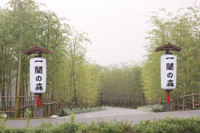 (圖/MATCHA) (圖/MATCHA)