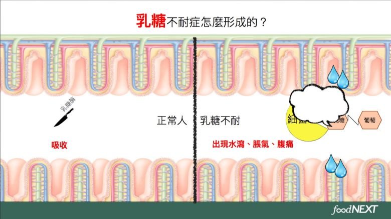 牛奶3.jpg 牛奶3.jpg