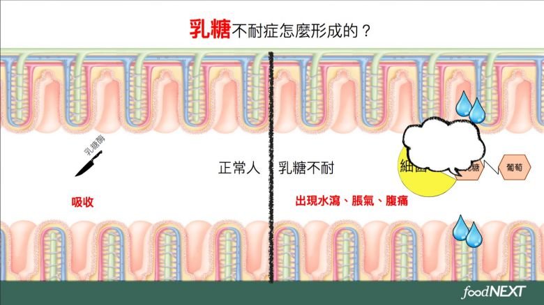 牛奶3.jpg