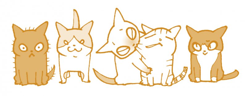 cat.jpg cat.jpg