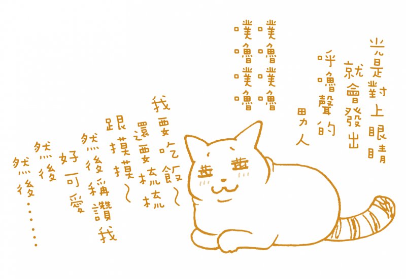 cat2.jpg cat2.jpg