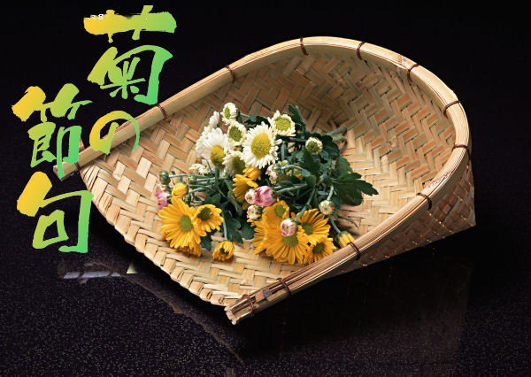 日本重陽節即菊花節 日本重陽節即菊花節