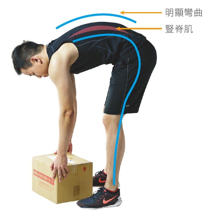 使用腰椎關節彎腰搬箱子(圖/三采文化提供) 使用腰椎關節彎腰搬箱子(圖/三采文化提供)