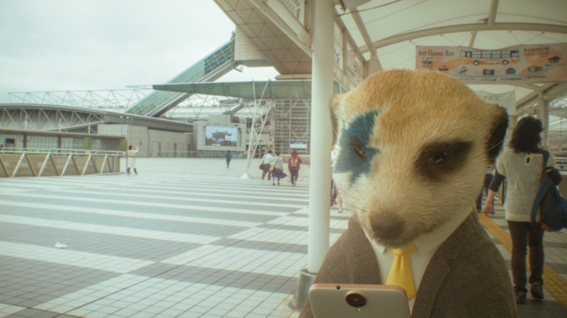 圖/狐獴大叔 圖/狐獴大叔