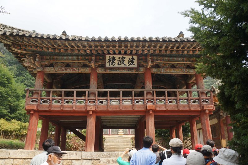 (圖/取自@Flickr) (圖/取自@Flickr)