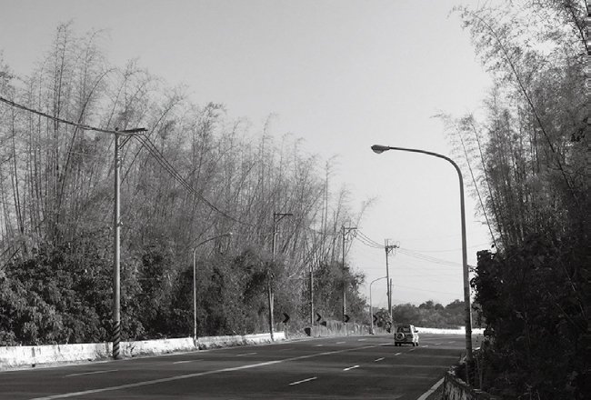 p112-層林：每一個轉彎，都能遇見不同的風景.jpg