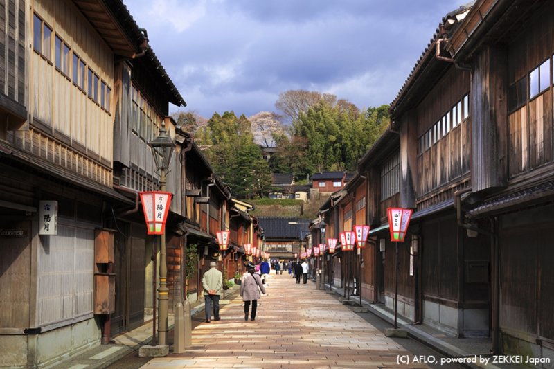 (圖/ZEKKEI JAPAN) (圖/ZEKKEI JAPAN)