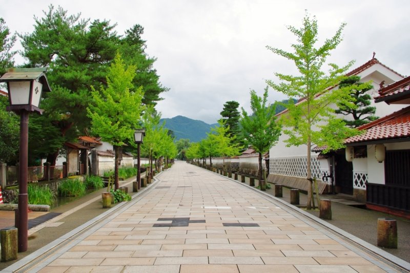 (圖/ZEKKEI JAPAN) (圖/ZEKKEI JAPAN)