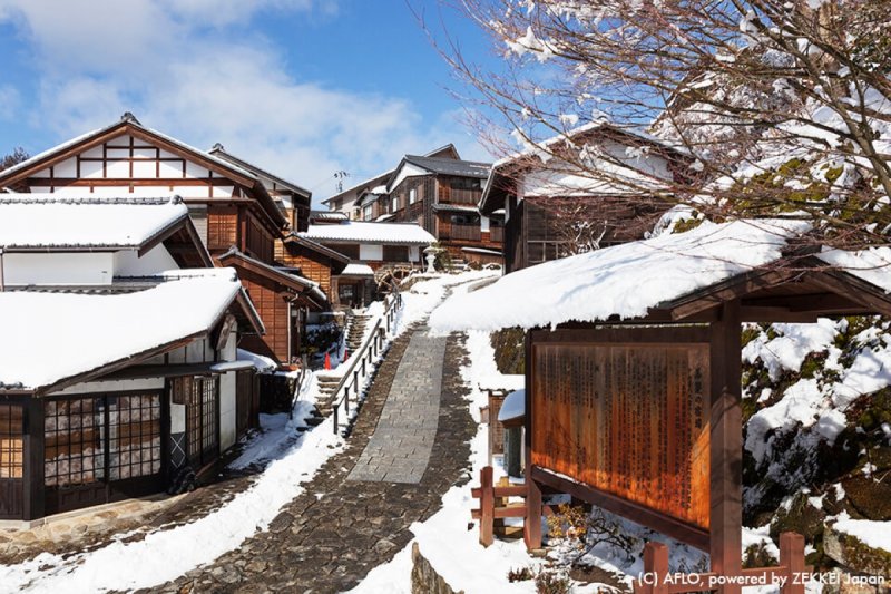 (圖/ZEKKEI JAPAN) (圖/ZEKKEI JAPAN)
