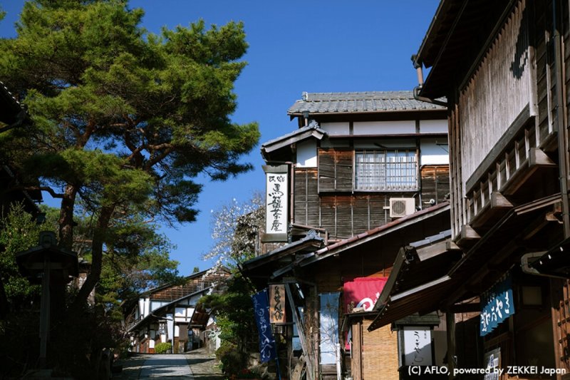 (圖/ZEKKEI JAPAN) (圖/ZEKKEI JAPAN)