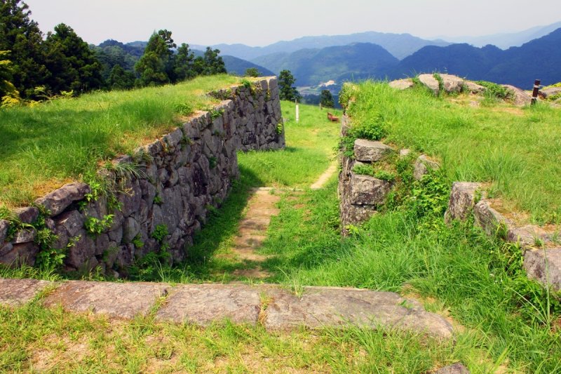 (圖/ZEKKEI JAPAN) (圖/ZEKKEI JAPAN)
