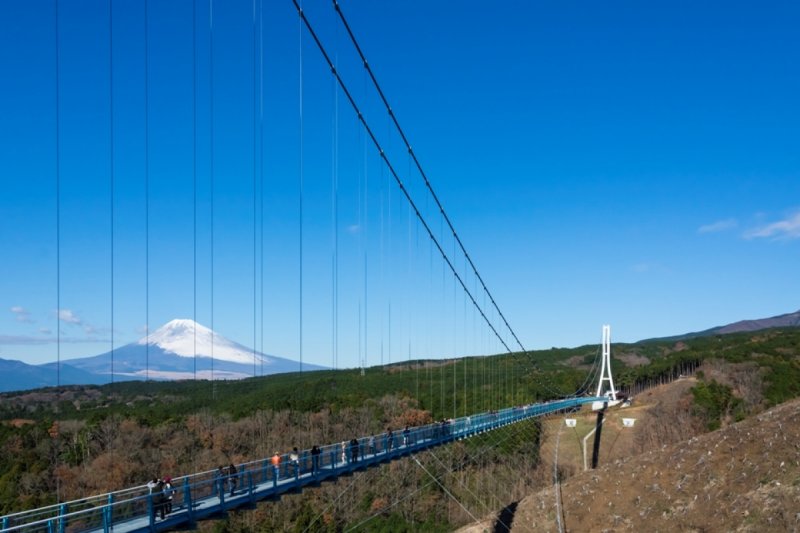 (圖/取自tsunagujapan) (圖/取自tsunagujapan)