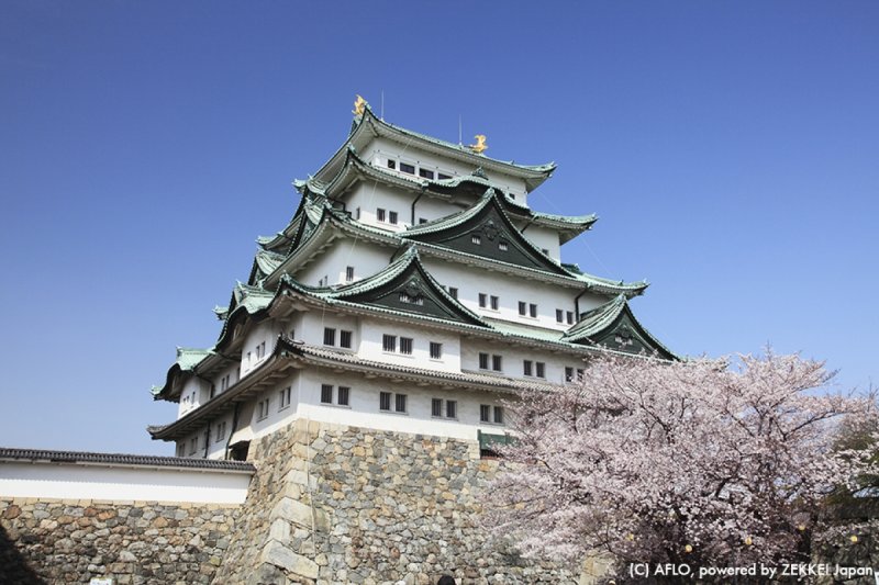 (圖/取自tsunagujapan) (圖/取自tsunagujapan)