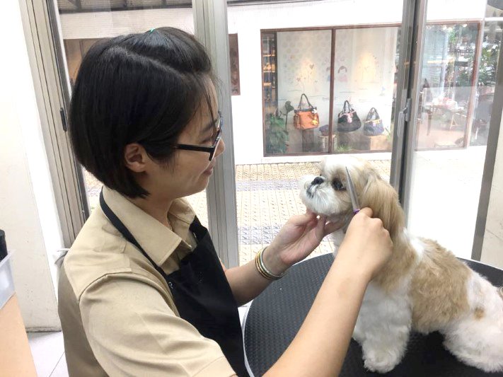 (圖/黃芯蕾提供) (圖/黃芯蕾提供)
