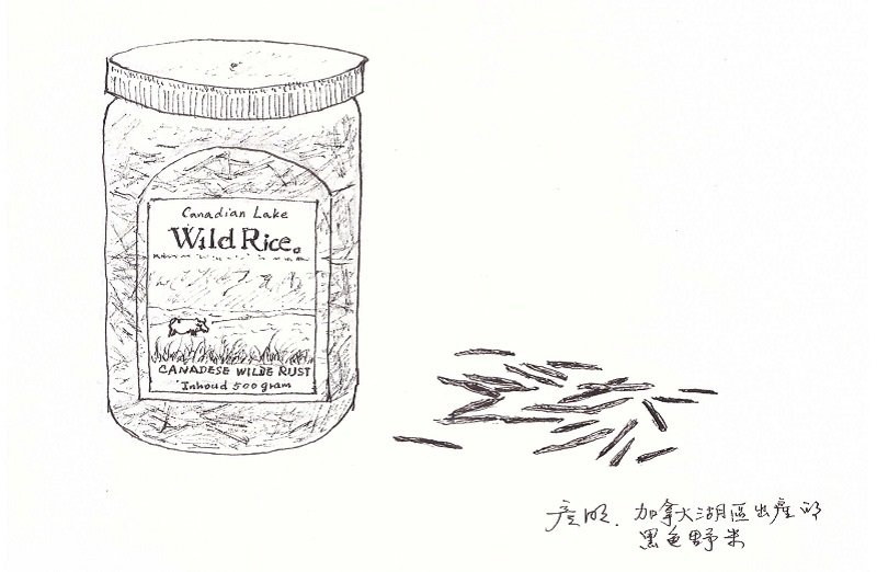 這是加拿大的野米。(作者手繪/印刻文學提供) 這是加拿大的野米。(作者手繪/印刻文學提供)
