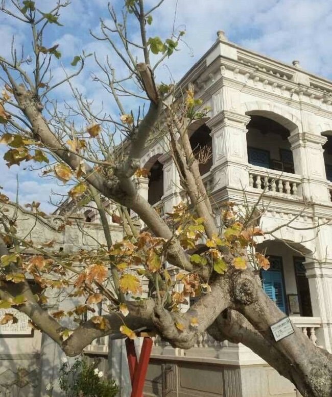 早年僑民回鄉蓋的洋樓帶來異域風情。(丁香結攝) 早年僑民回鄉蓋的洋樓帶來異域風情。(丁香結攝)