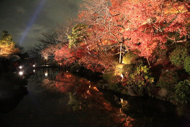 清水寺夜楓(圖/Norio NAKAYAMA@Flickr,hotelscombined提供) 清水寺夜楓(圖/Norio NAKAYAMA@Flickr,hotelscombined提供)