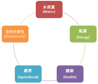 (圖/王若婕 製) (圖/王若婕 製)