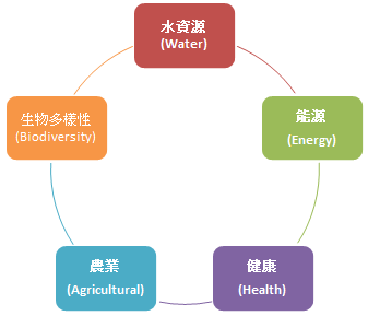 （圖/王若婕 製）