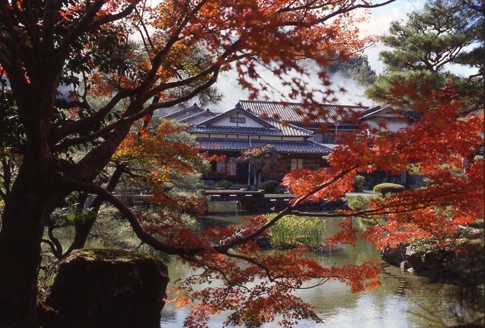在紅葉的承托下,有著一種日本特有的意境和美感。(圖/ZEKKEI Japan提供) 在紅葉的承托下,有著一種日本特有的意境和美感。(圖/ZEKKEI Japan提供)